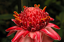 utazás: Saint Lucia